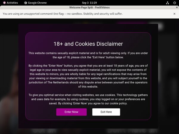 Active Feelxvideos.com Passwords