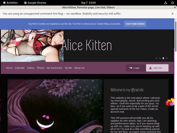 Alicekitten.modelcentro.com Working Password