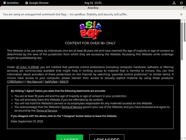 Asia Boy Live Cams