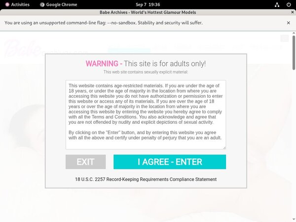 Babe Archives Checkout Page