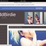 Baddbirdie.modelcentro.com Paypal Payment