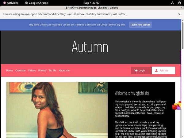 Bittykitty.modelcentro.com Access