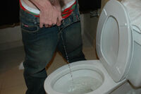 Boys Pissing Image s3