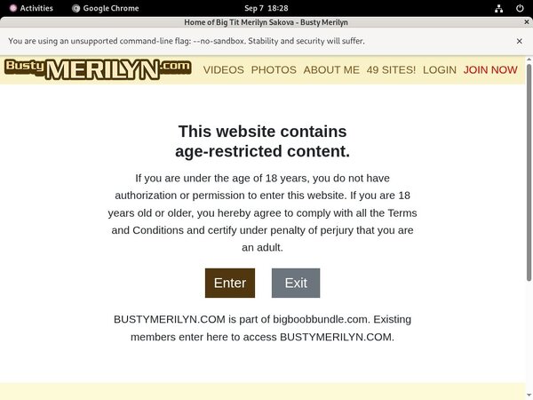 Bustymerilyn Premium Accounts