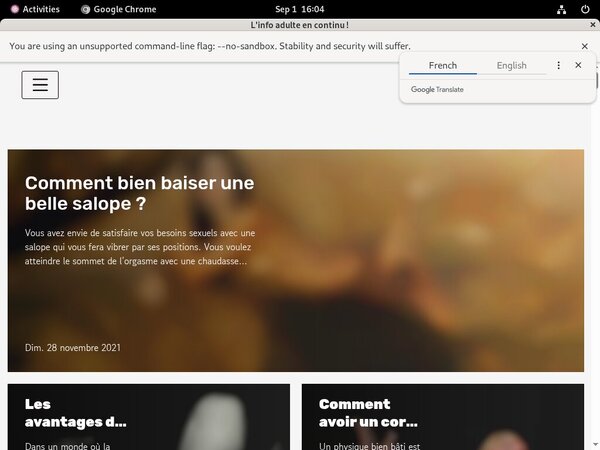 Camsschlampen With Paypal