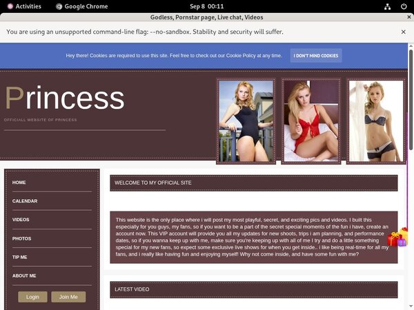 Cardboard.modelcentro.com Wnu.com Page