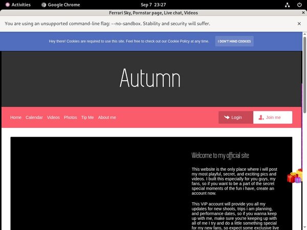 Countryannaxx.modelcentro.com With Amex