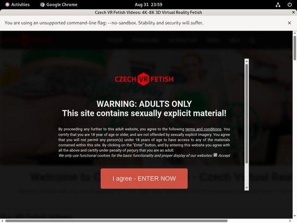 Czechvrfetish.com Automatische Incasso