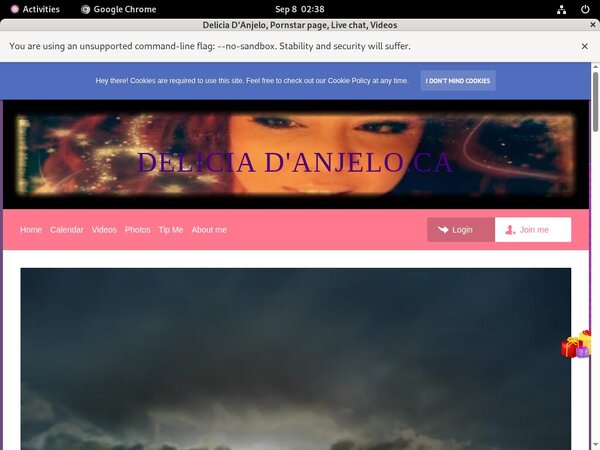 Delicia D'Anjelo Password Account
