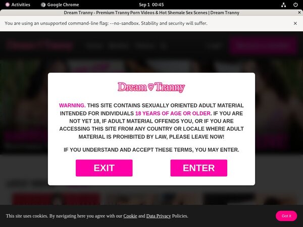 Dreamtranny.com Redtube