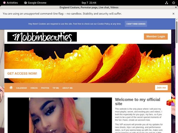 Englandcouture.modelcentro.com Pass Premium