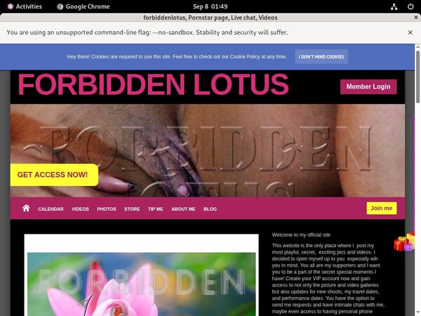 Forbiddenlotus.com Review