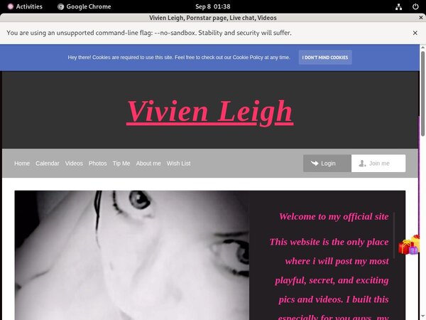 Free Acc For Vivienleighandme.modelcentro.com