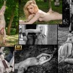 Free Account For Subspace Land