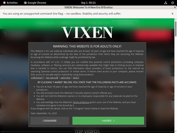 Free Account For Vixen