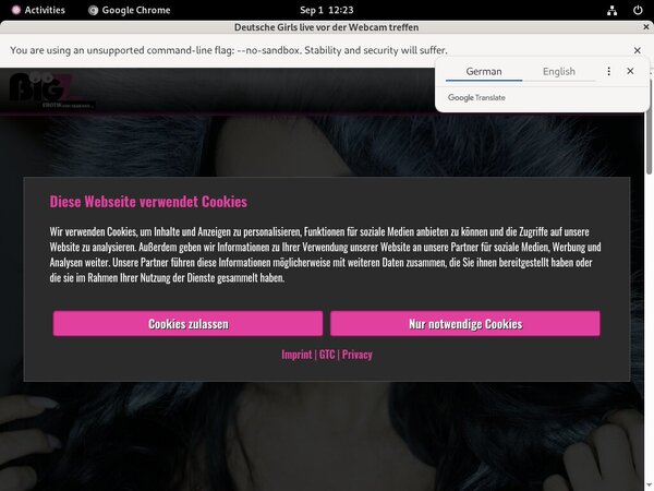 Free Account Of Lanagiselle.tv