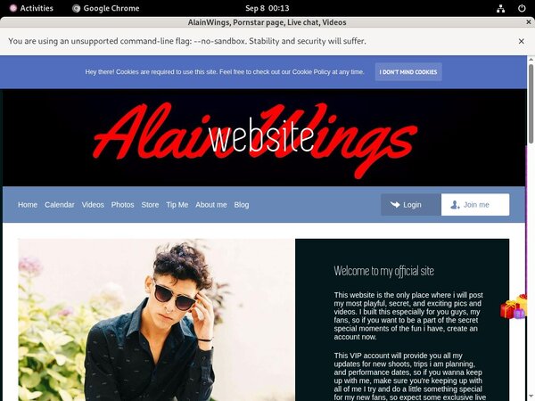 Free AlainWings Hacked Passwords