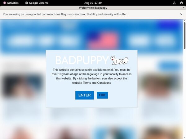 Free Badpuppy Passwords