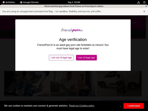 Free French Porn Gay Site Rip