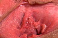 Free Gape My Pussy Discount s1