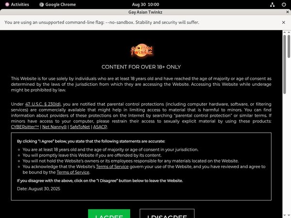 Free Gayasiantwinkz.com Preview