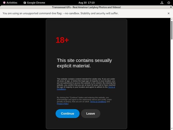 Free Transsexual GFs Accounts And Passwords