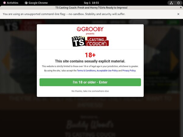 Free Ts-castingcouch.com Premium Login