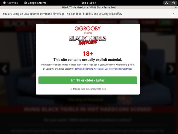 FreeBlack TGirls Hardcore Password