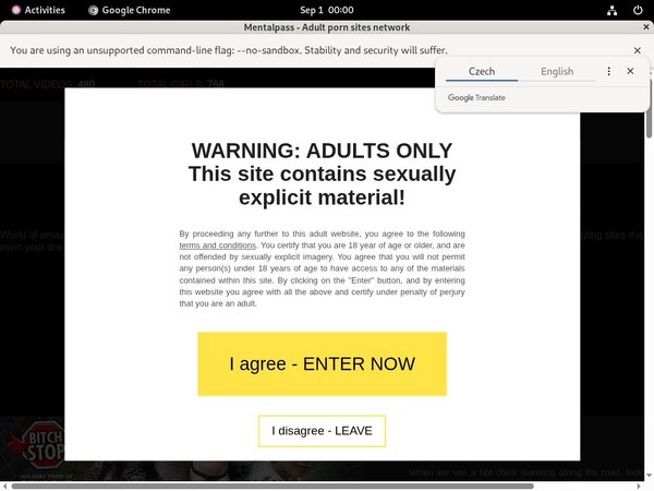 Get Mental Pass Free Logins