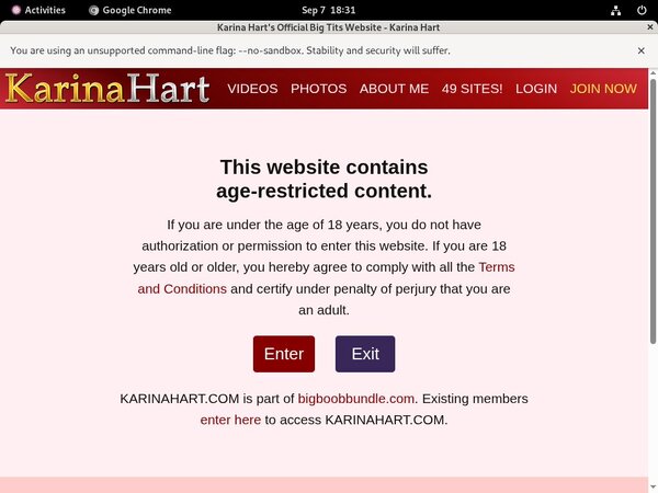 How To Get A Free Karinahart Account