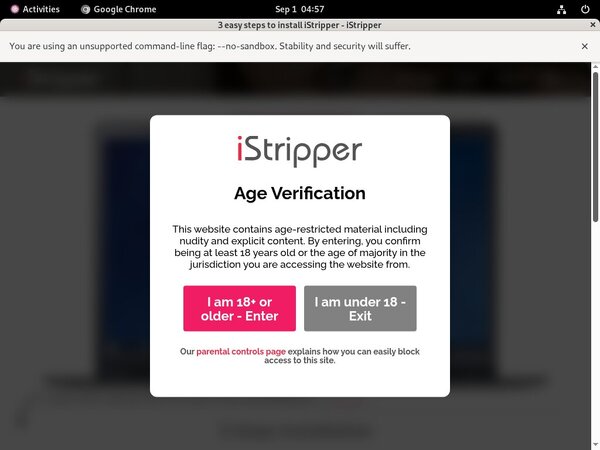 IStripper Network Password