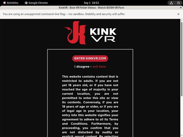 Kinkvr.com Member Discount