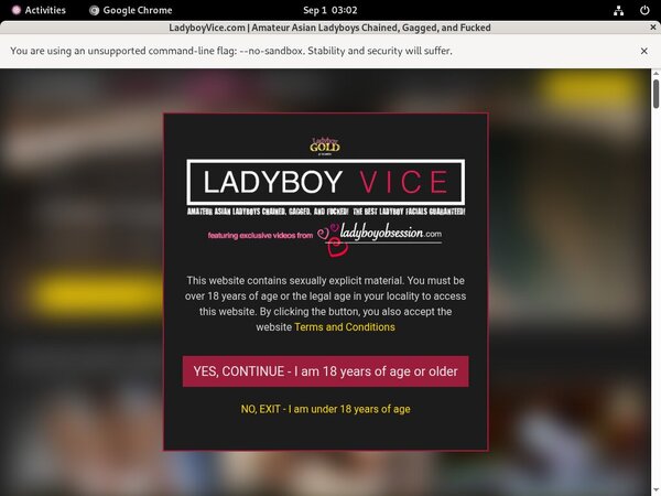 Ladyboy Vice ??
