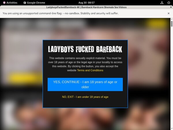 Ladyboysfuckedbareback.com Mobile Passwords