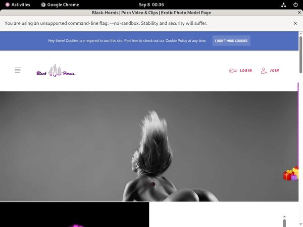 Login BLACKHORNIS Free Trial