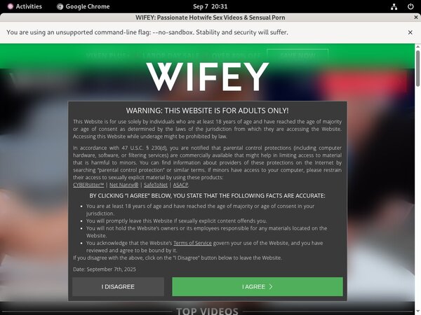 Login Wifey Free