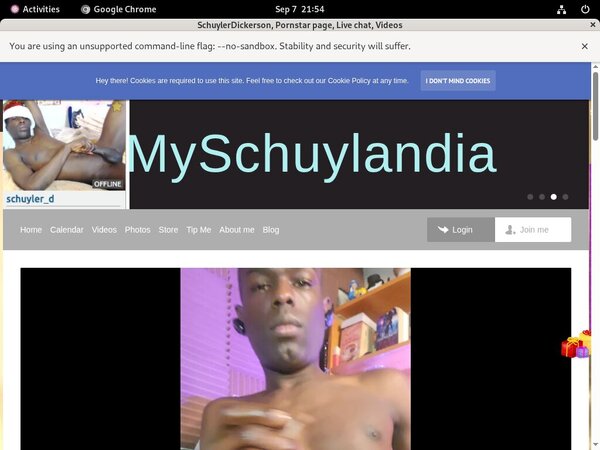 Myschuylandia.com Promo Id