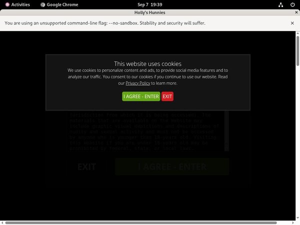 New Hollyshunnies.com Passwords