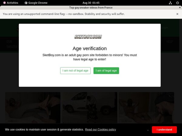 New Sketboy.com Passwords