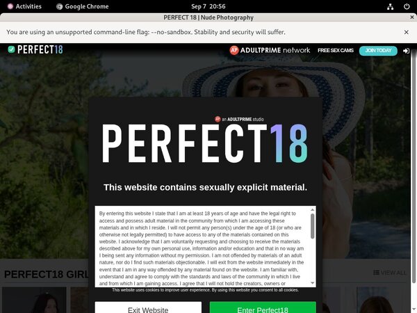 Perfect 18 Website Password