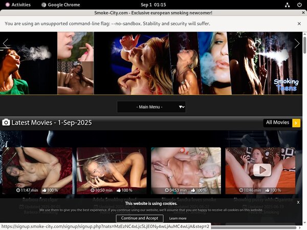 Premium Smokecity Account