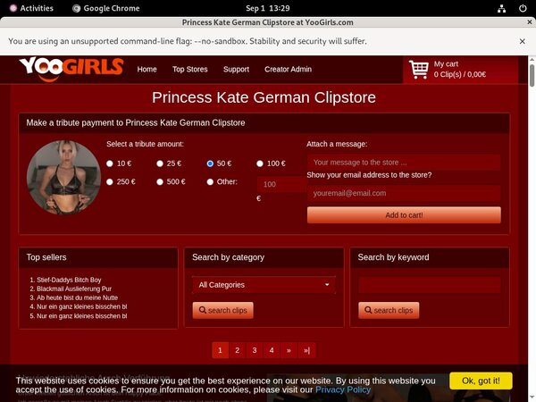Princess Kate German Logins For Free