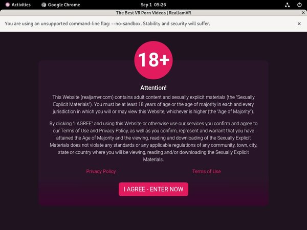 Real Jam VR Premium Password