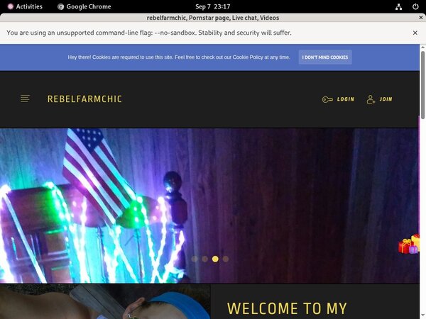 Rebelfarmchic.modelcentro.com Valid Password