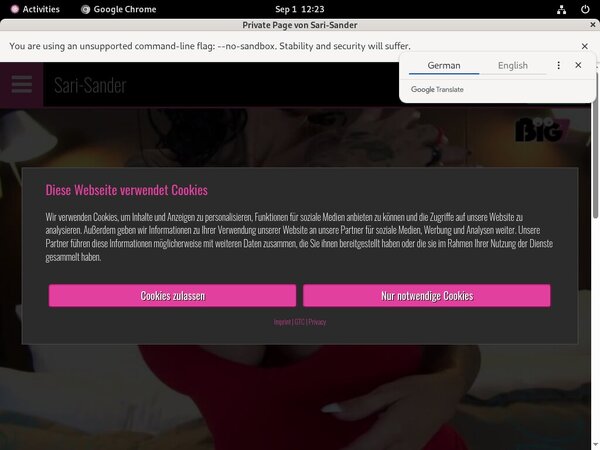 Sari Sander Porn Review