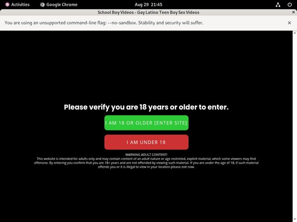 Schoolboyvideos.com Vendo Discount