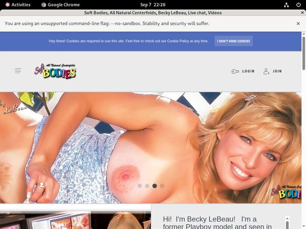 Softbodies.com Epoch Discount