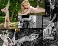 Subspace Land Lifetime Membership s2