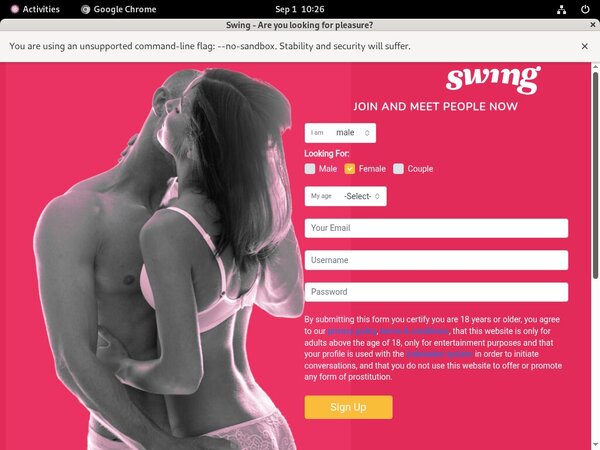 Swing.net Discount Off