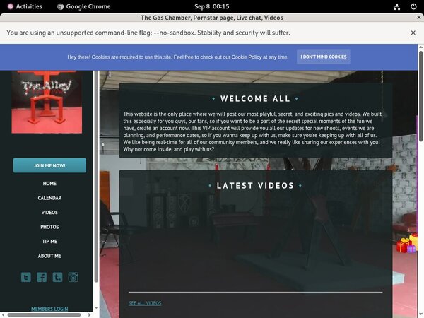 Thealleywynwood.modelcentro.com Free Collection